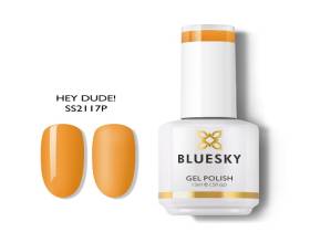 Bluesky Hey Dude 